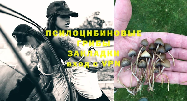 каннабис Арсеньев